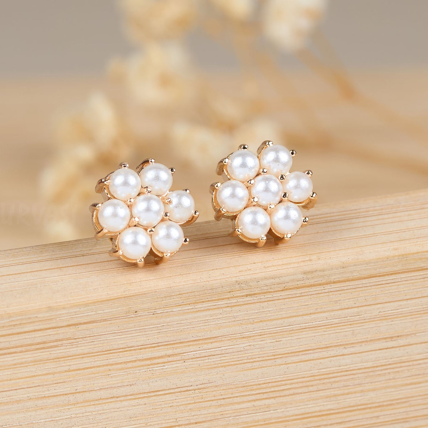 Earrings ER 138