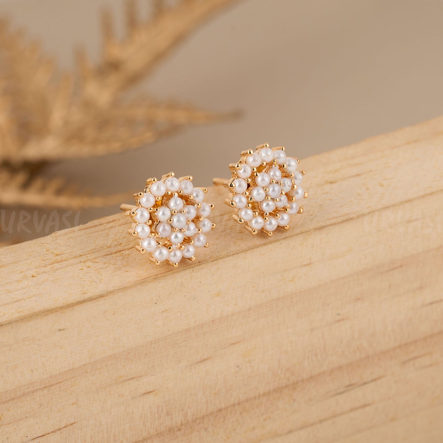 Earrings ER 164