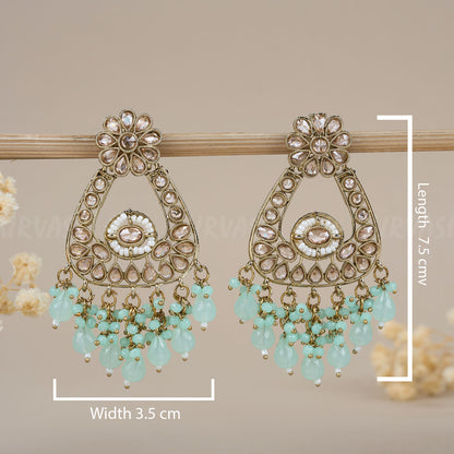 Earrings ER 85