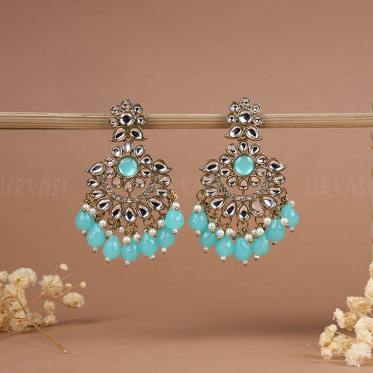 Earrings ER 100