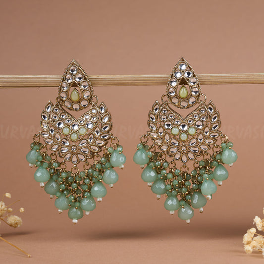 Earrings ER 99