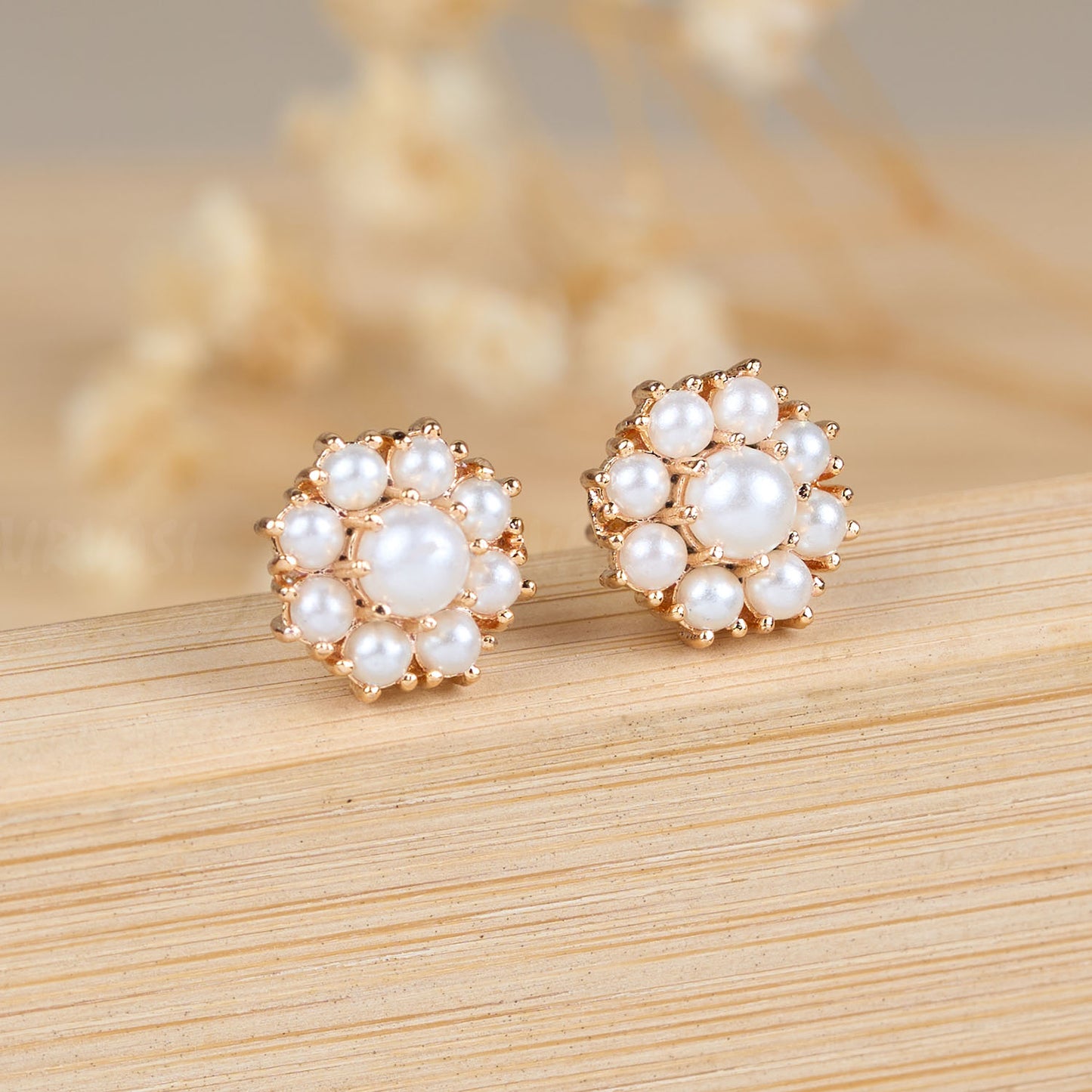 Earrings ER 141