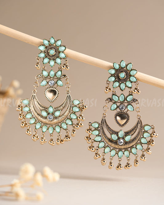 Earrings ER 481