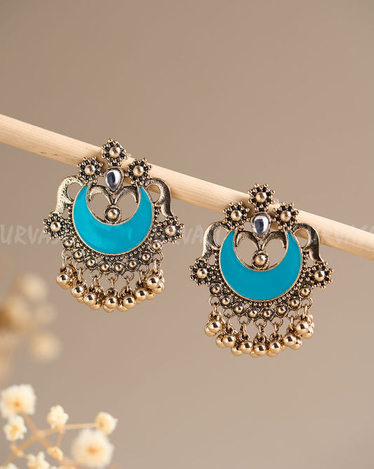 Earrings ER 502