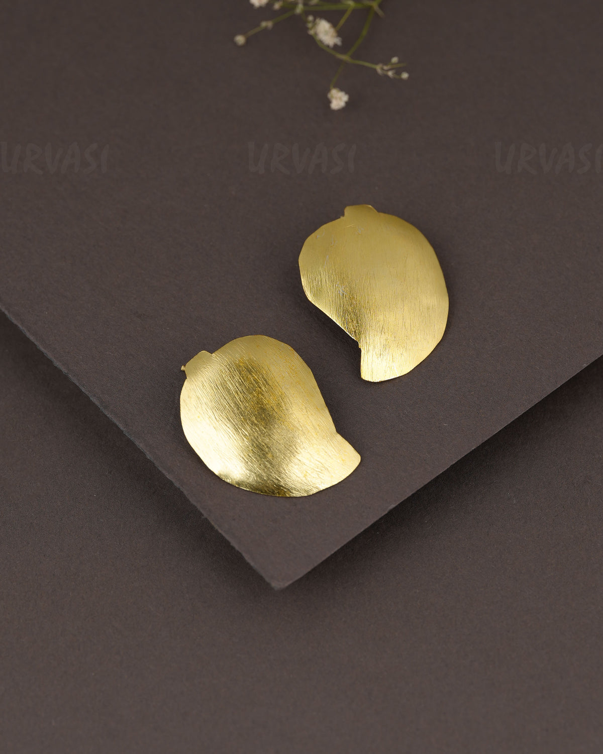 Gold-Polish Mango Earring  ER 1307