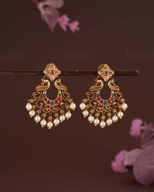 Earrings ER 690